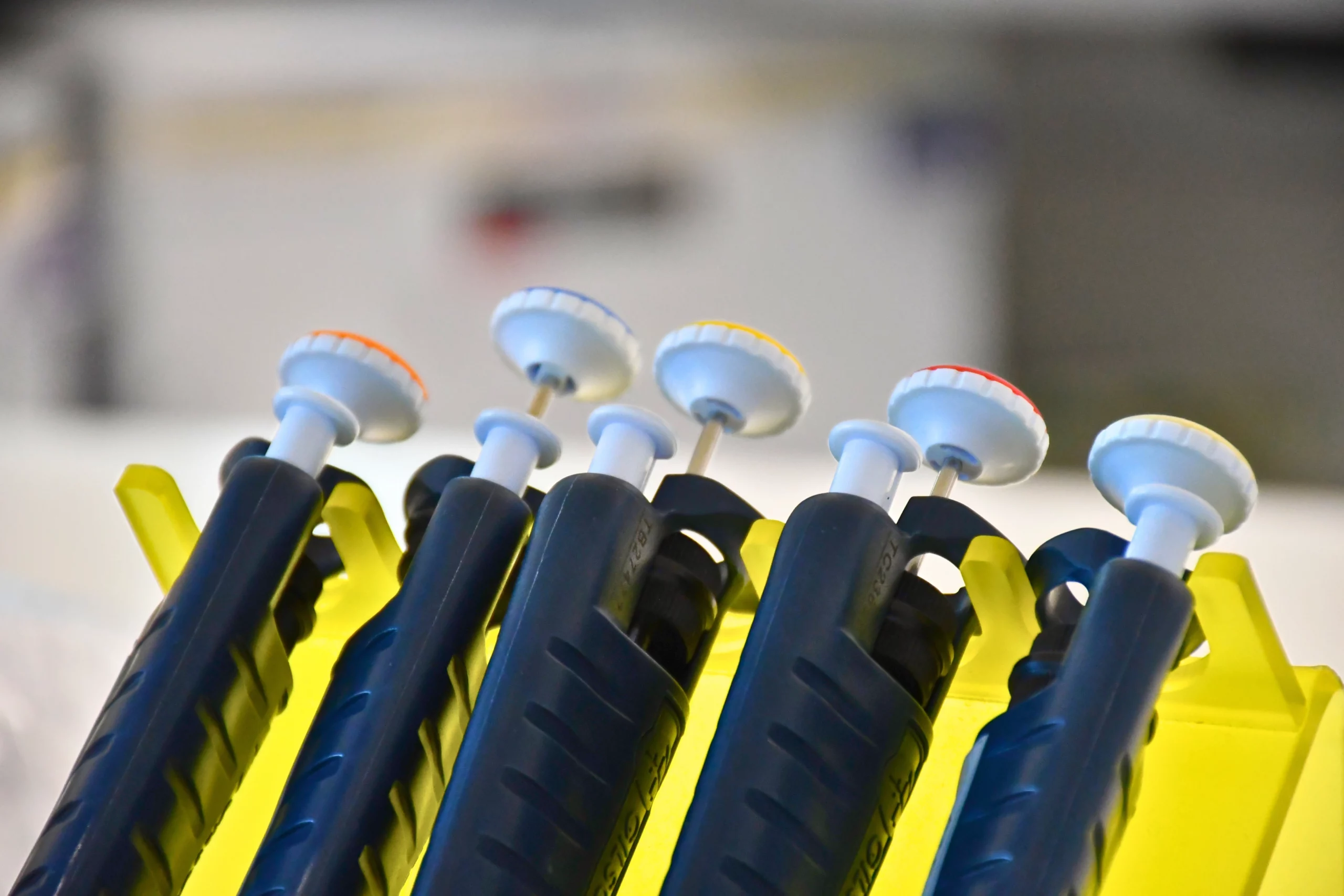 Close up of a row of pipettes