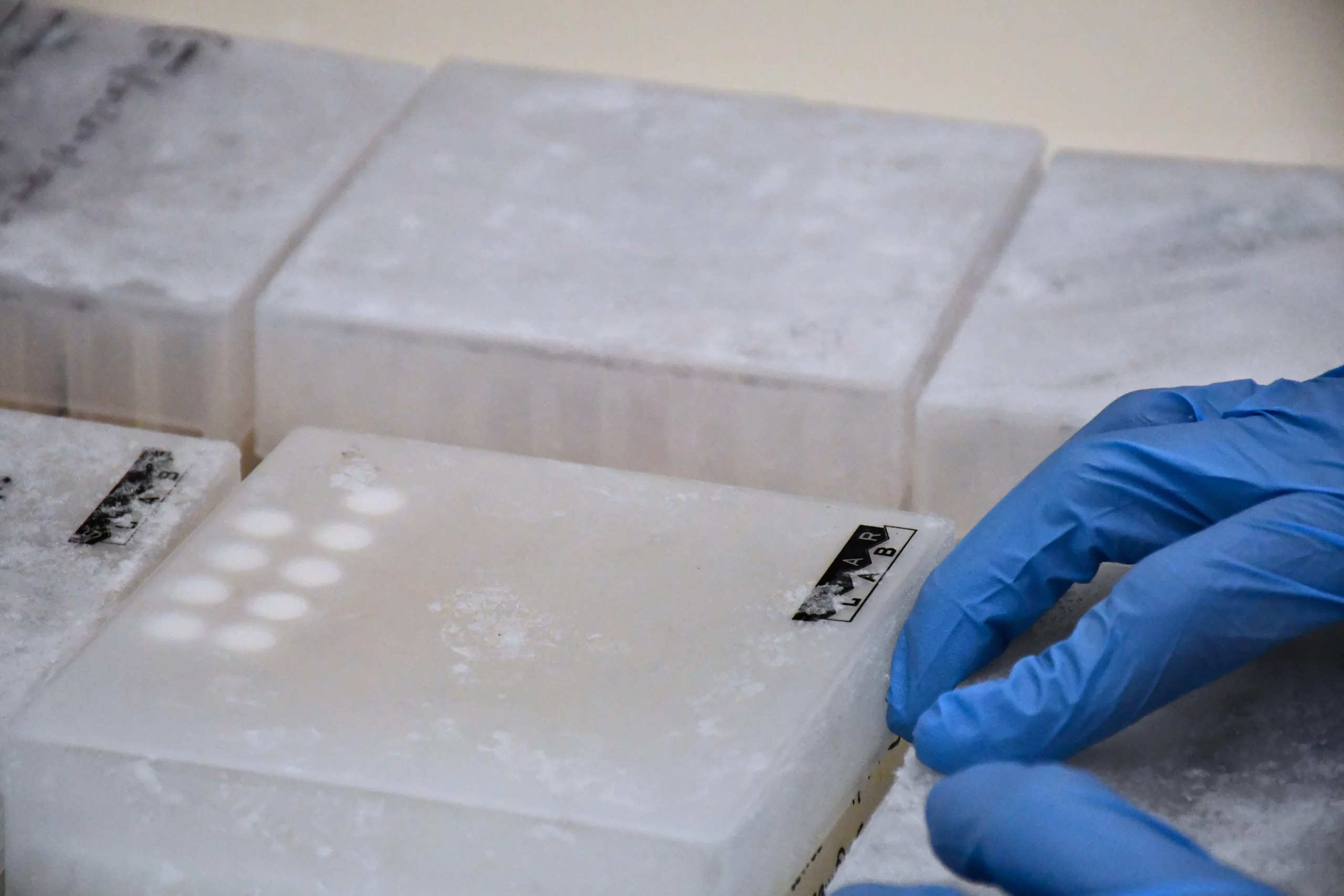 Gloved hands next to a series of freezer boxes
