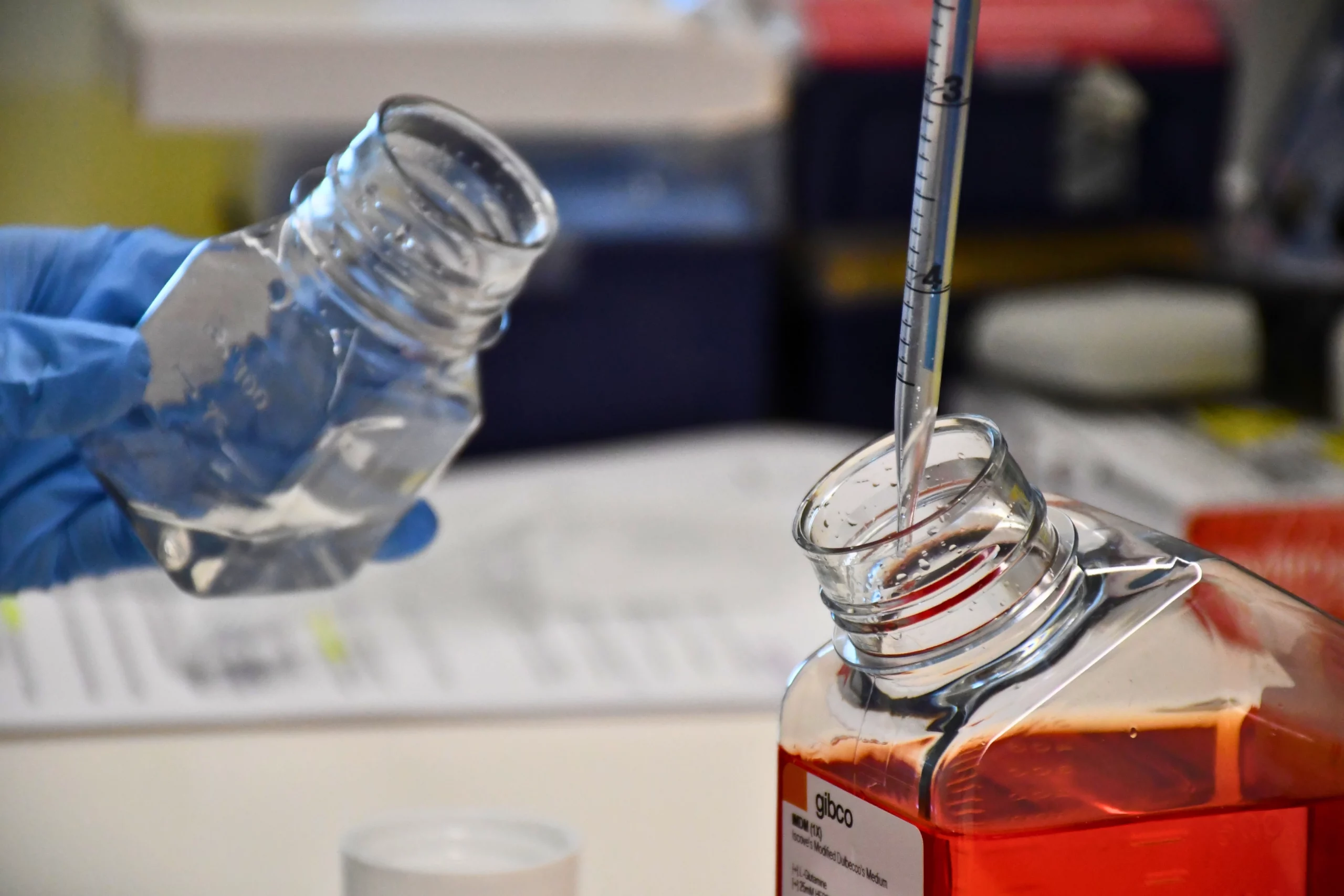 Gloved hands pipetting media