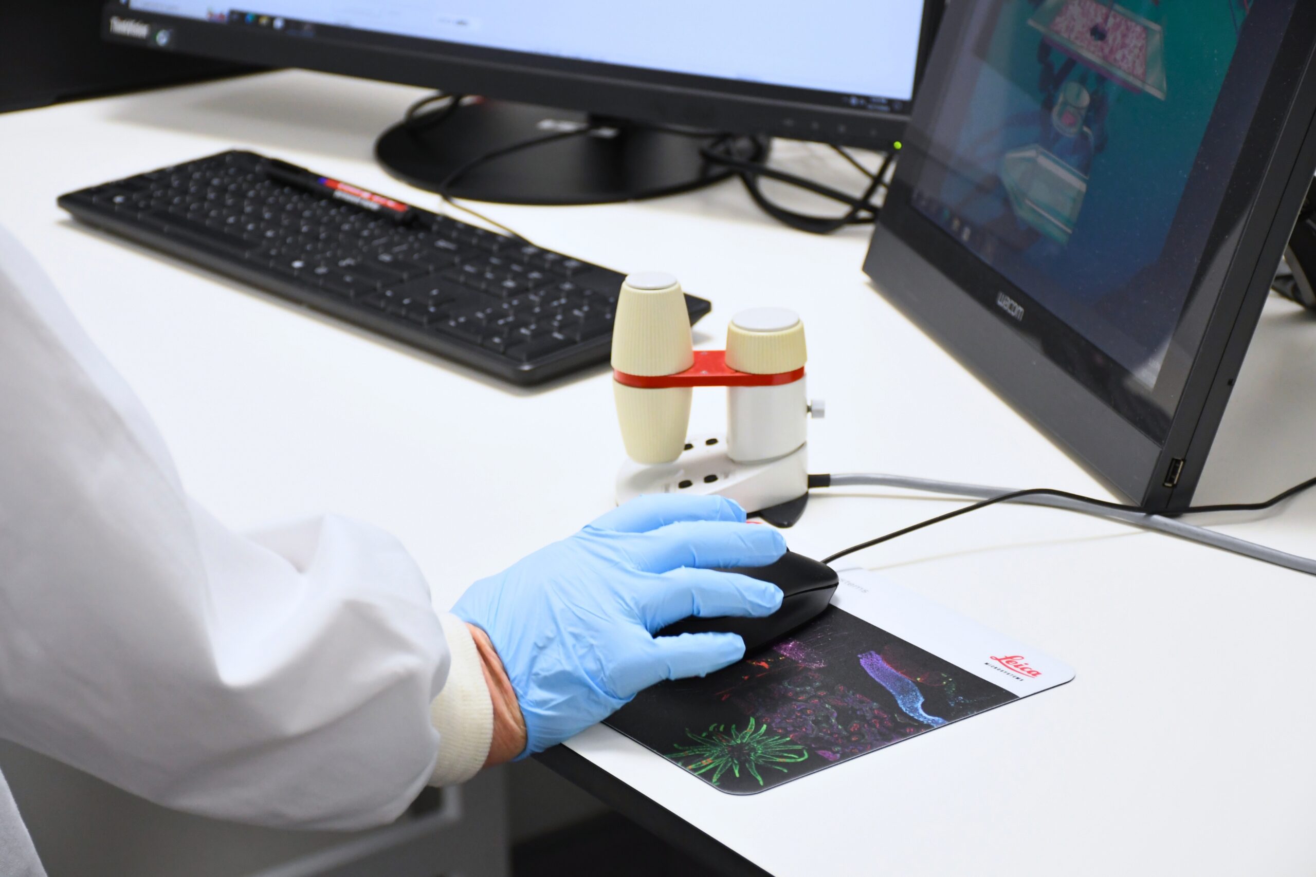Gloved hand operating Leica software