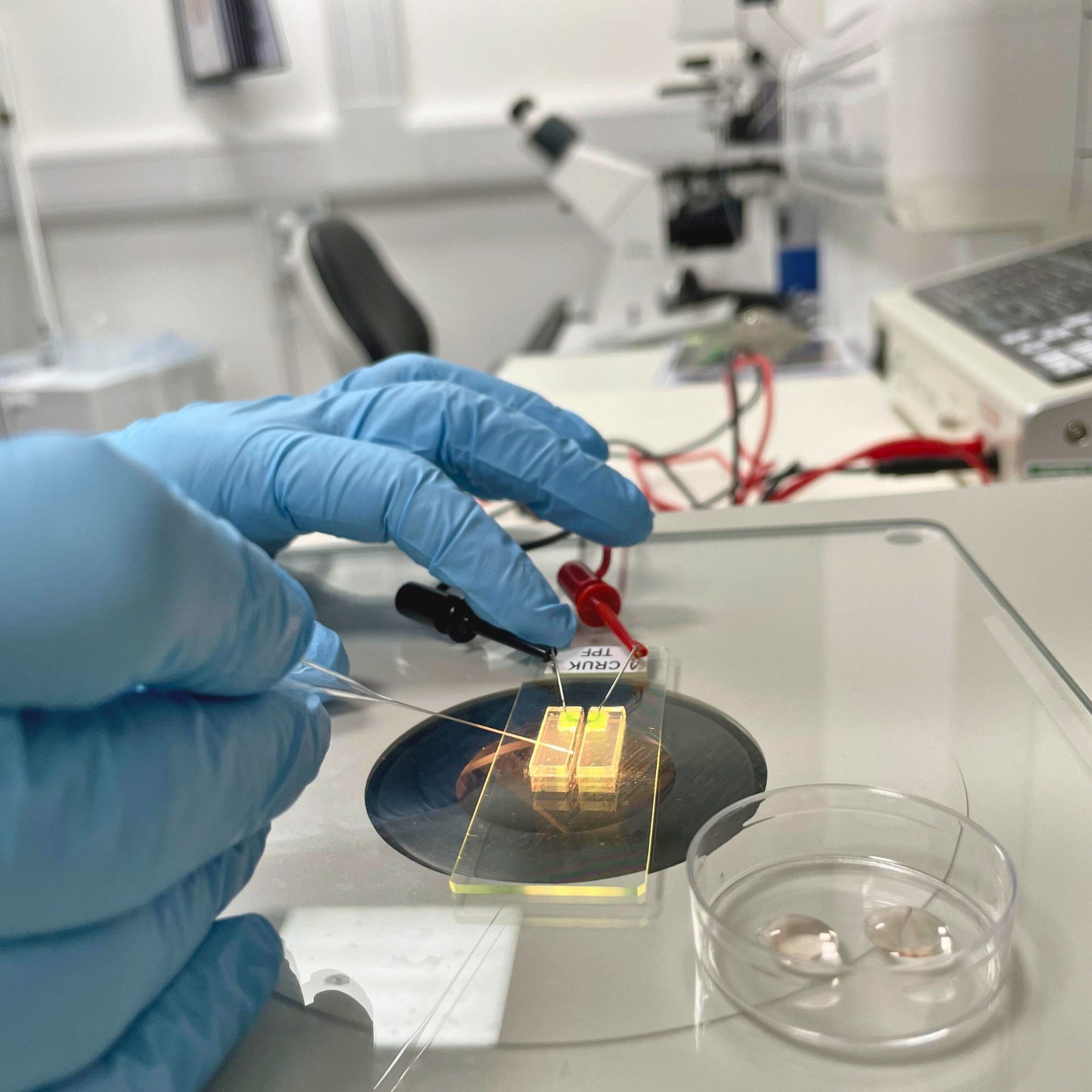 Gloved hands electroporation closeup