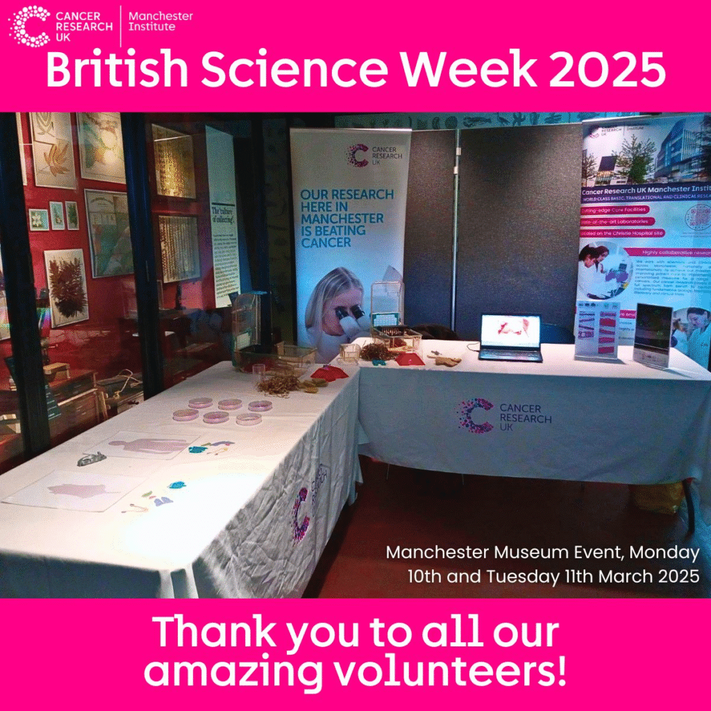 Photograph showing the tables of activities at the Manchester Museum event, covered with CRUK table cloths and showing the activities on the tabletops Text above says British Science Week 2025, and below "Thank you to all our amazing volunteers"
