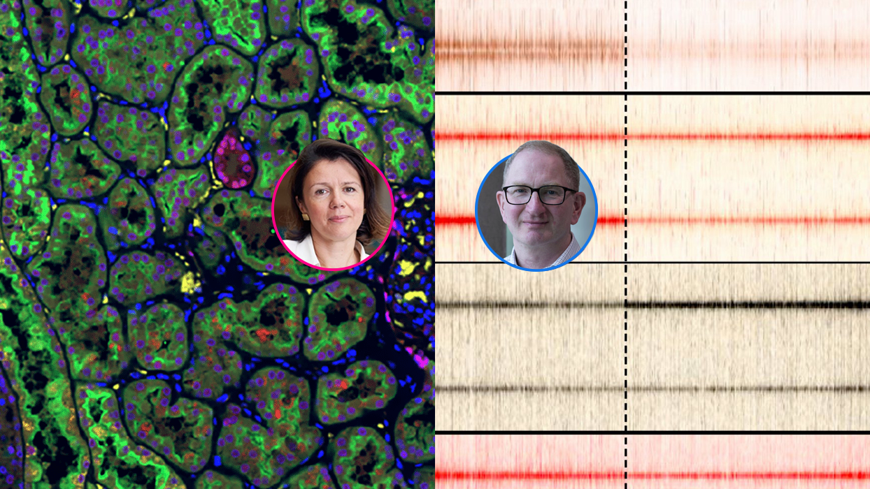 Images of stained cells superimposed with headshot images of Samra Turajlic and Tim Somervaille